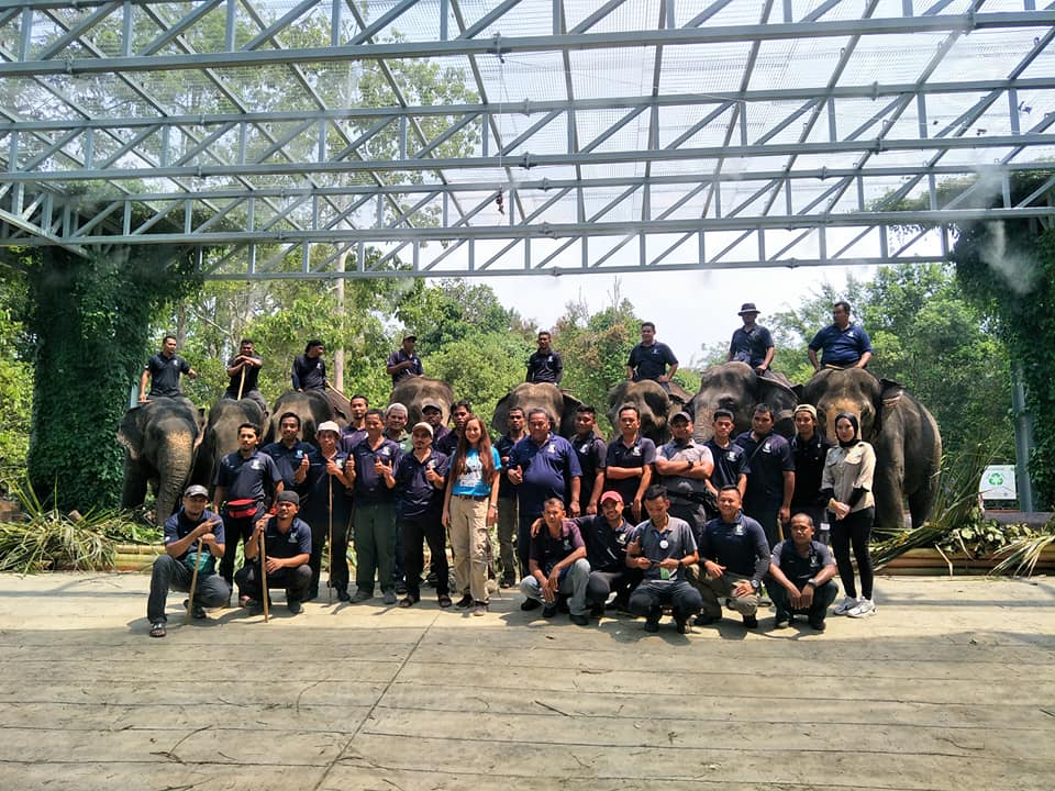 Kuala Gandah National Elephant Conservation centre
