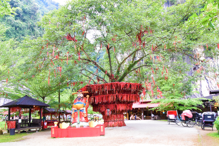 Wishing Tree, Qing Xin Ling Leisure & Cultural Village