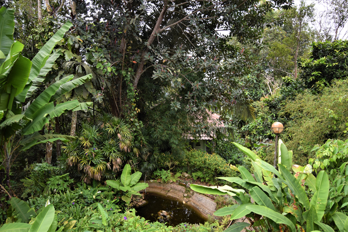 Botanical-Garden