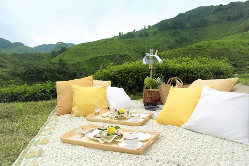 Where to Stay Stay in Cameron Highlands