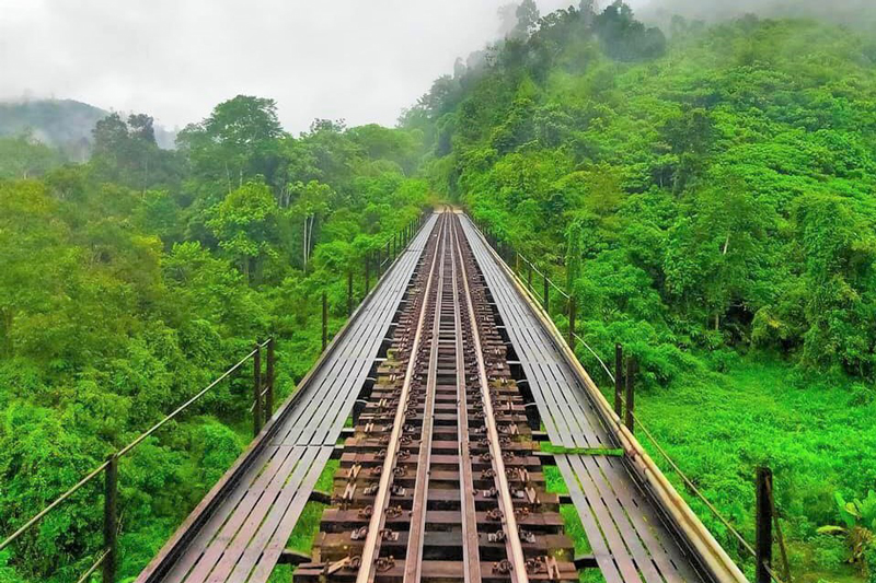 Jungle-Railway-Kelantan
