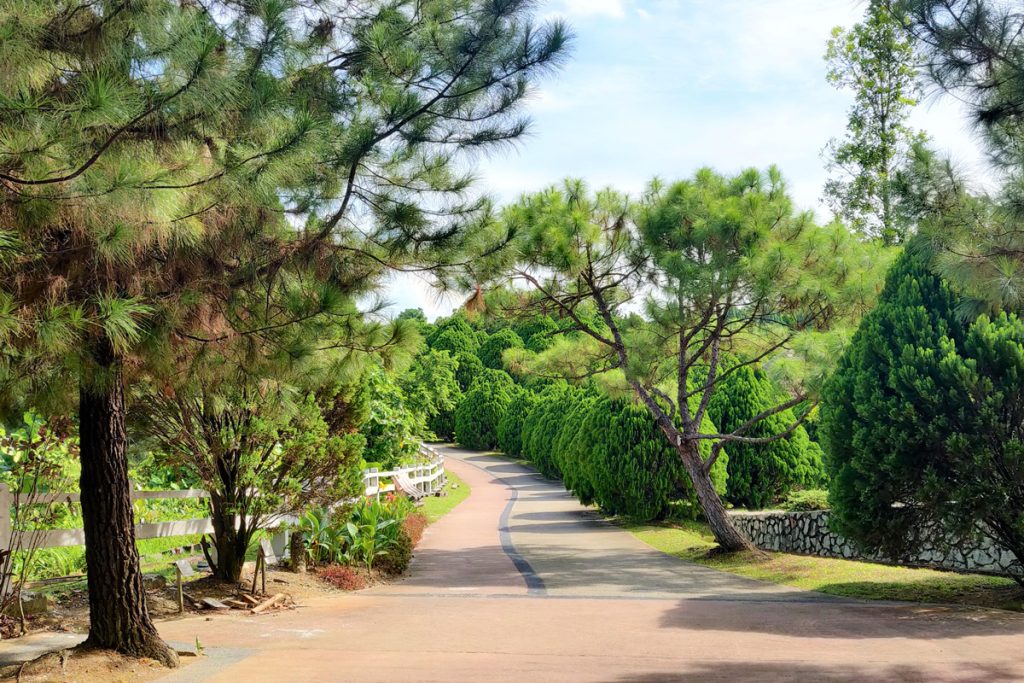 ''Taman Saujana Hijau" A European Park in Putrajaya