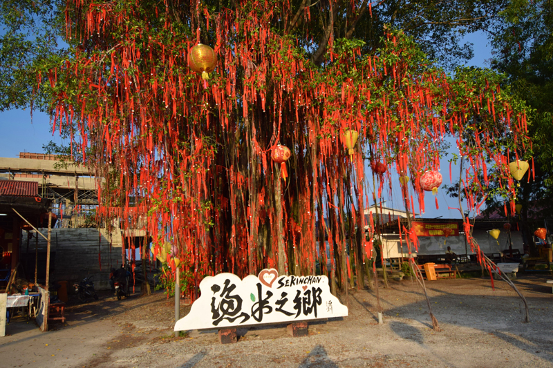 Sekinchan-Wishing-Tree