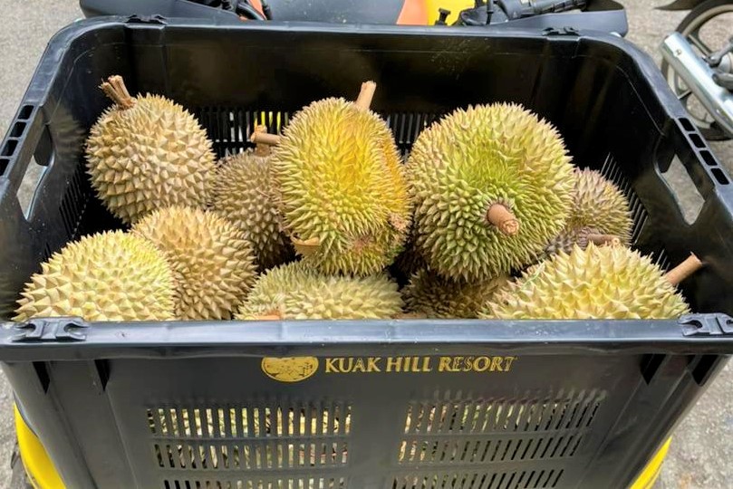 Durian Kuak Hill Resort