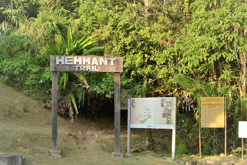 Hemmant-Trail-fraser-hill