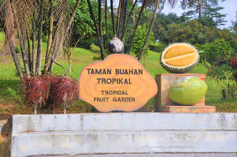 Tropical Fruits Garden