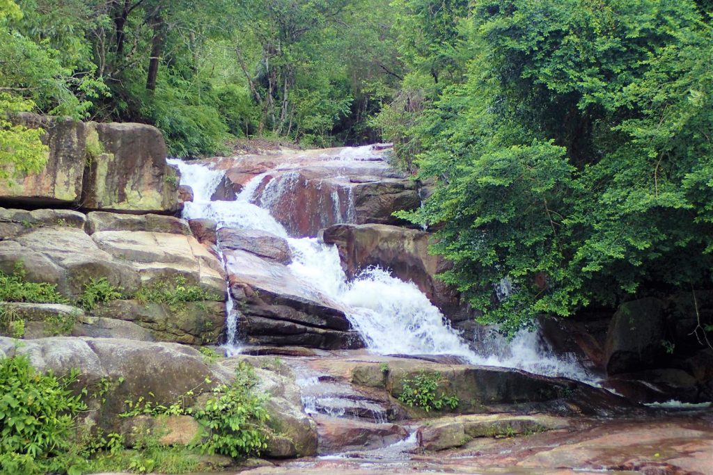 Chin-Farm-Waterfall-Penang