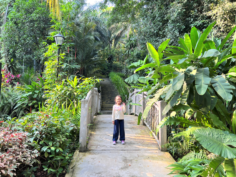 Things to Do at Perdana Botanical Garden