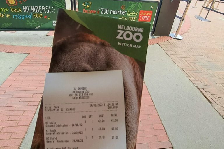 All You Need to Know About Melbourne Zoo The Simple Travel 2024