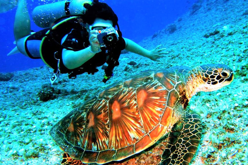 Diving Spots in Malaysia: Perhentian-Island-diving