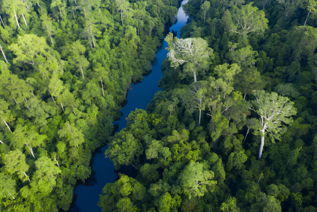 Taman-negara