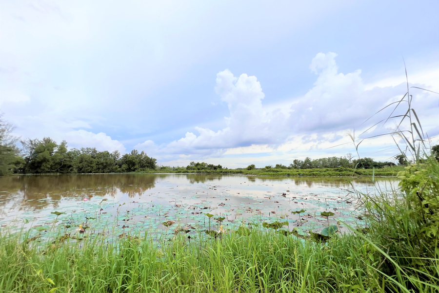 Best-Paya-Indah-Wetlands