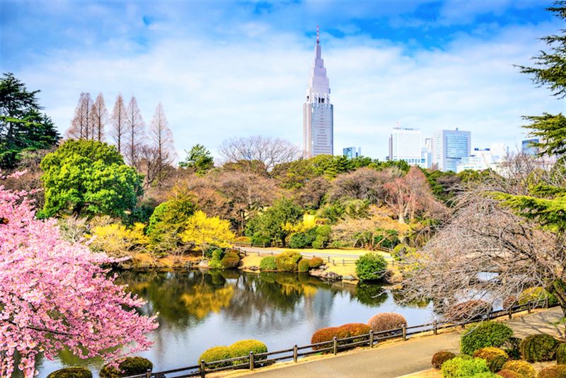 Shinjuku-Gyoen-National-Garden