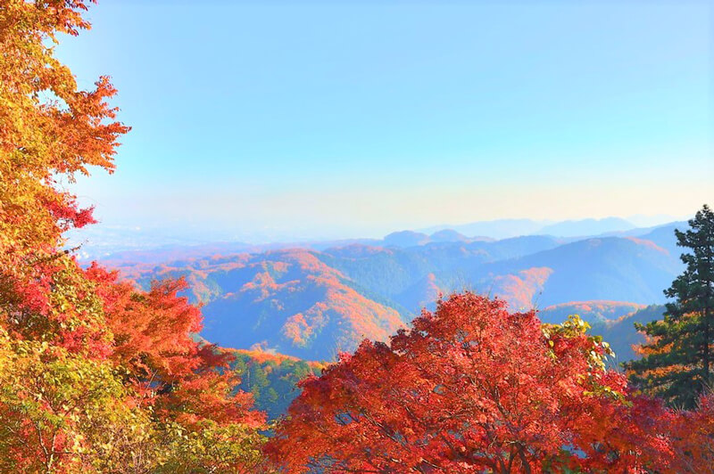 mount-takao