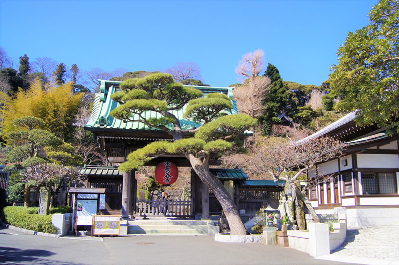 Hasedera-Temple