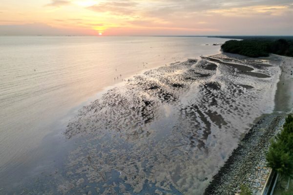 A Perfect Day Trip to Pantai Morib | How to go, Things to do, Places to ...