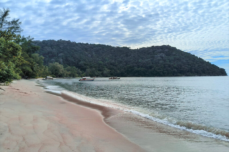 A Comprehensive 3-Day Penang Itinerary for First-Time Visitors 19 Monkey-Beach