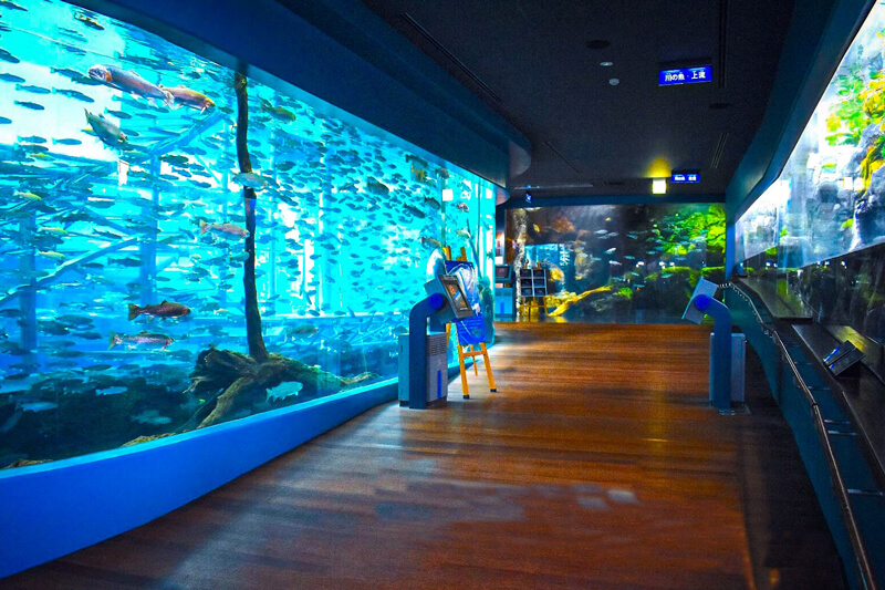 Fuji-Yusui-no-Sato-Aquarium