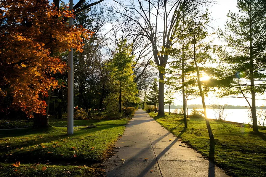 Ultimate 3-Day Toronto Itinerary: A Detailed Travel Guide 9 Toronto Itinerary: Sunset pathway through autumn trees.