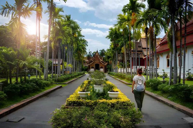 Chiang Mai Travel Guide 2025: The Cultural Heart and Northern Gateway of Thailand 1 Chiang Mai Travel Guide